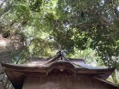 佐志能神社(茨城県)