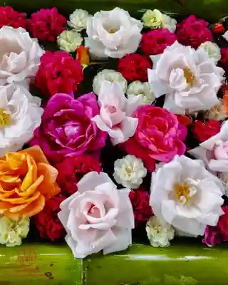 立志神社(滋賀県)