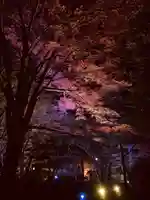 土津神社|こどもと出世の神さまの景色