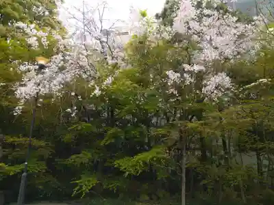 晴明神社(京都府)