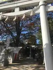 大鳥神社の鳥居