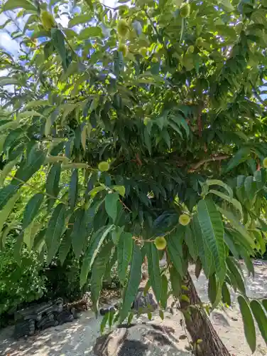 源光寺(京都府)