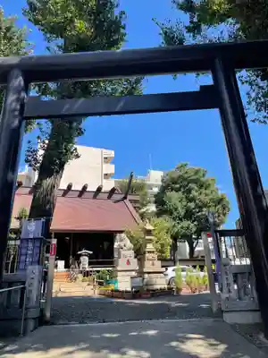 高円寺氷川神社の鳥居