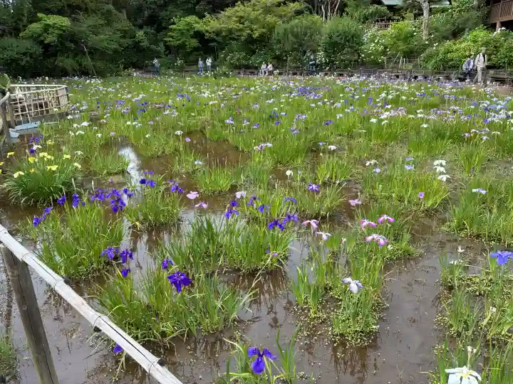 本土寺(千葉県)