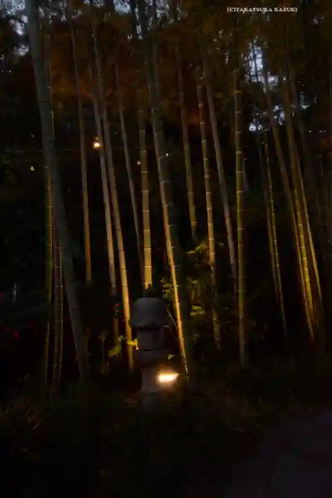 長谷寺(神奈川県)