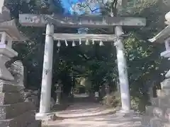 小向神社の鳥居