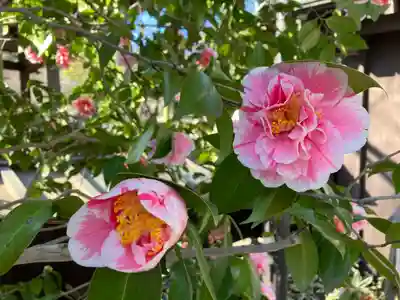 深大寺(東京都)