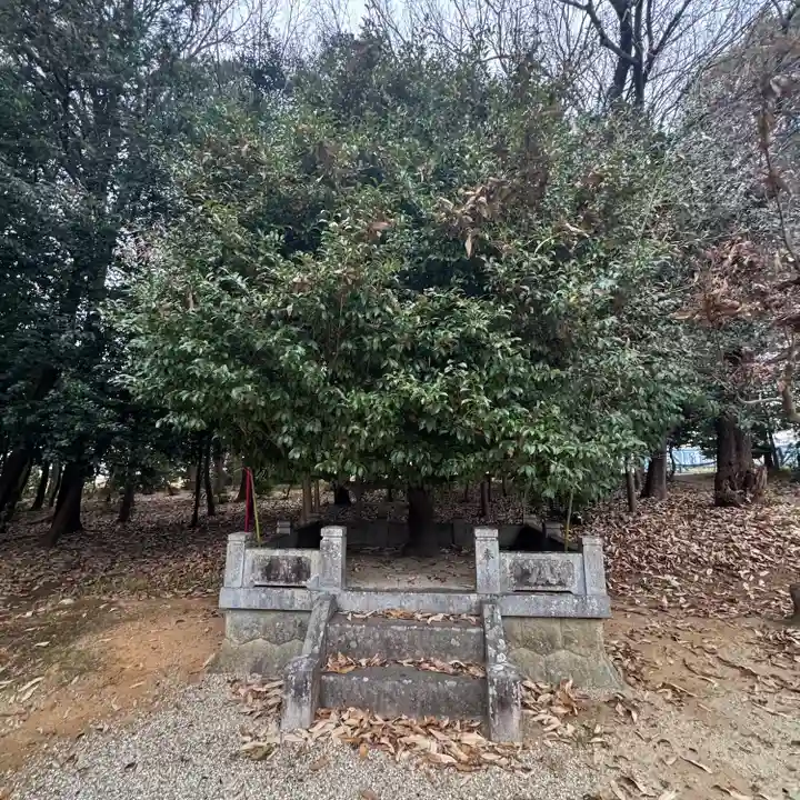 八幡社(中田八幡社)(愛知県)