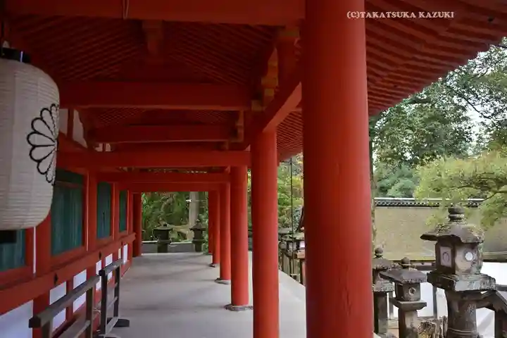 春日大社(奈良県)