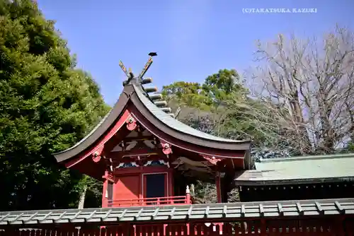 峯ヶ岡八幡神社(埼玉県)