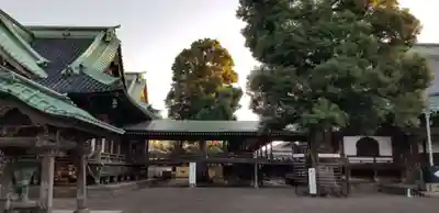 題経寺(柴又帝釈天)(東京都)
