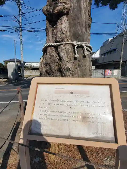 前玉神社の自然