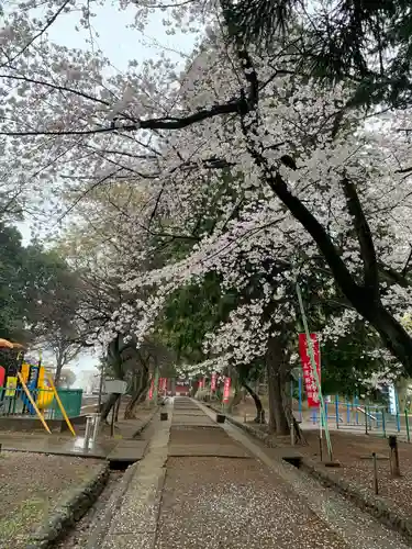 三芳野神社(埼玉県)