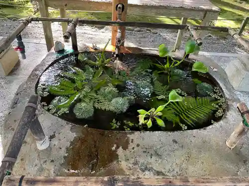 都農神社の手水