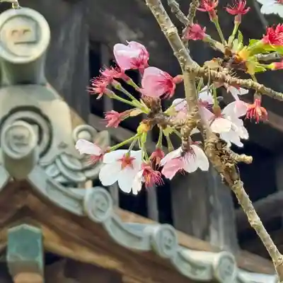 伊勢の国 四天王寺(三重県)