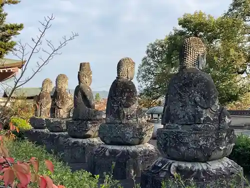 蓮華寺(京都府)