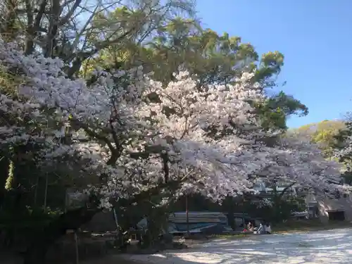 和霊神社の自然