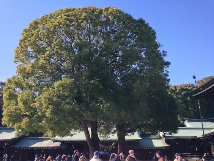 明治神宮(東京都)