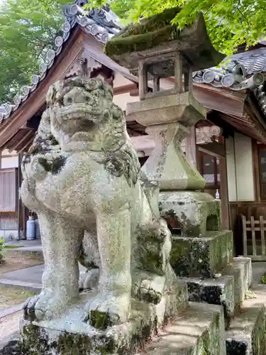 宇流冨志祢神社の狛犬