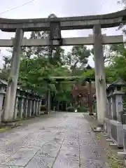 針綱神社の鳥居