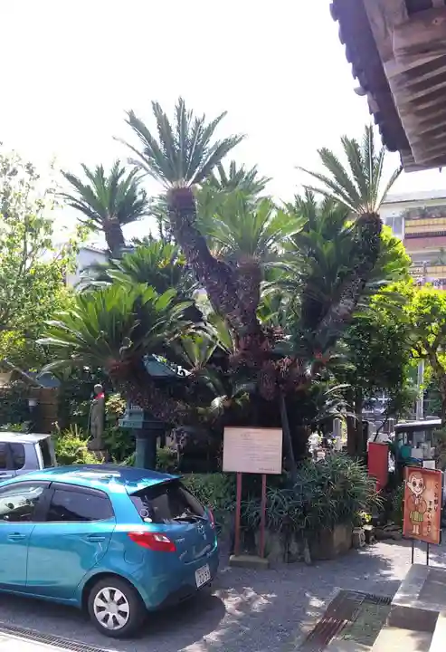 最誓寺(静岡県)