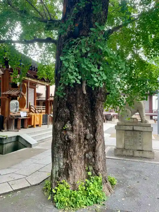 鎧神社(東京都)