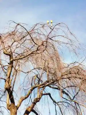 圓照寺(東京都)