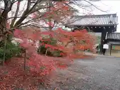 実相院門跡(京都府)