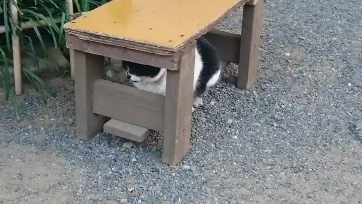 回向院のその他建物