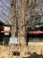 榛名神社の自然