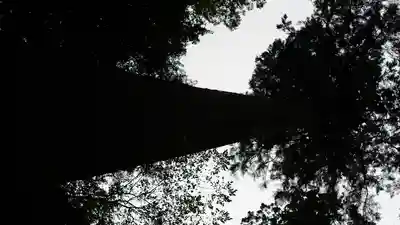 室生寺(奈良県)