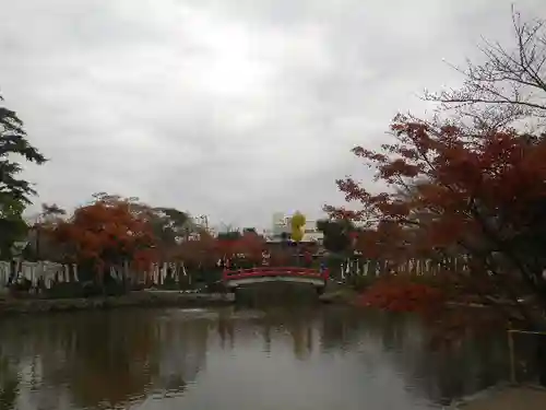 鶴岡八幡宮の庭園