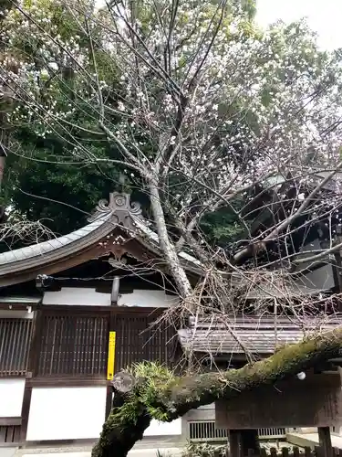 保久良神社の本殿・本堂