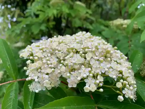 大鏑矢神社(福島県)