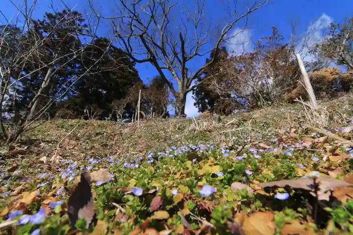 阿久津「田村神社」(郡山市阿久津町)旧社名:伊豆箱根三嶋三社の景色