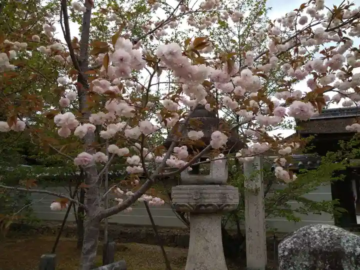 仁和寺(京都府)