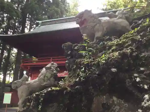 富士山東口本宮 冨士浅間神社の狛犬