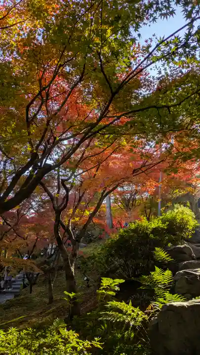 東福禅寺(東福寺)(京都府)