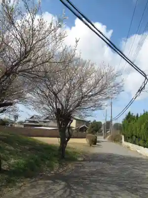 真光寺(千葉県)