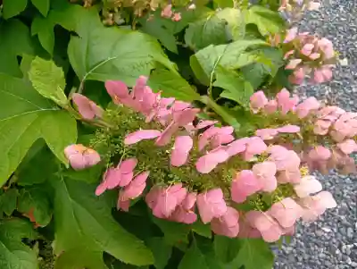 誓願寺(愛知県)