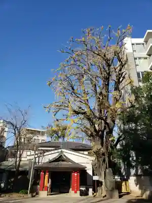 品川寺(東京都)