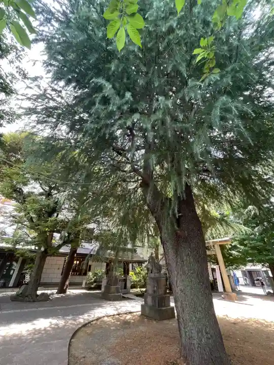 青山熊野神社(東京都)