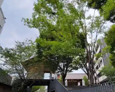 赤城神社のその他建物