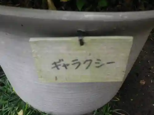 長谷寺のその他建物