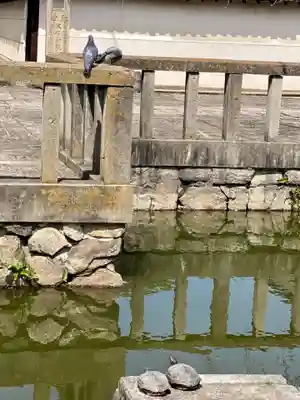 東寺（教王護国寺）(京都府)
