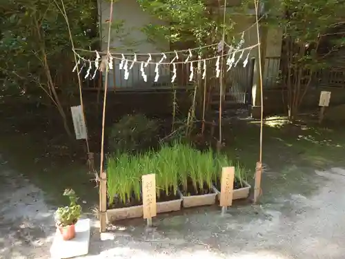 氷川女體神社の自然