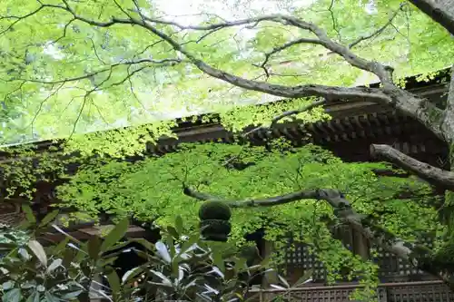 室生寺の建物その他