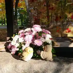 彌彦神社 (伊夜日子神社)の手水舎(2023年10月28日(土) 12時11分03秒投稿)