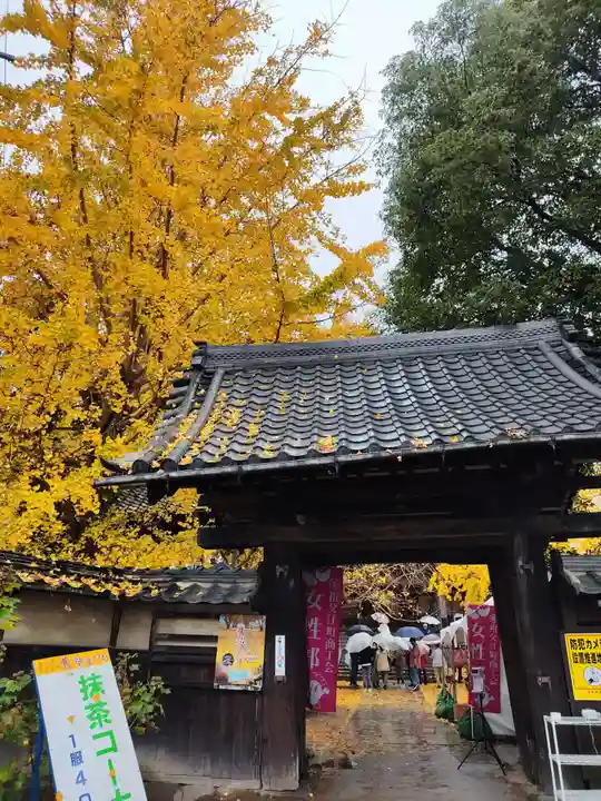 祐専寺の山門・神門