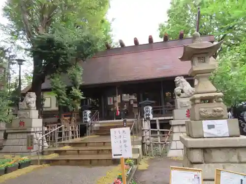 高円寺氷川神社の本殿・本堂